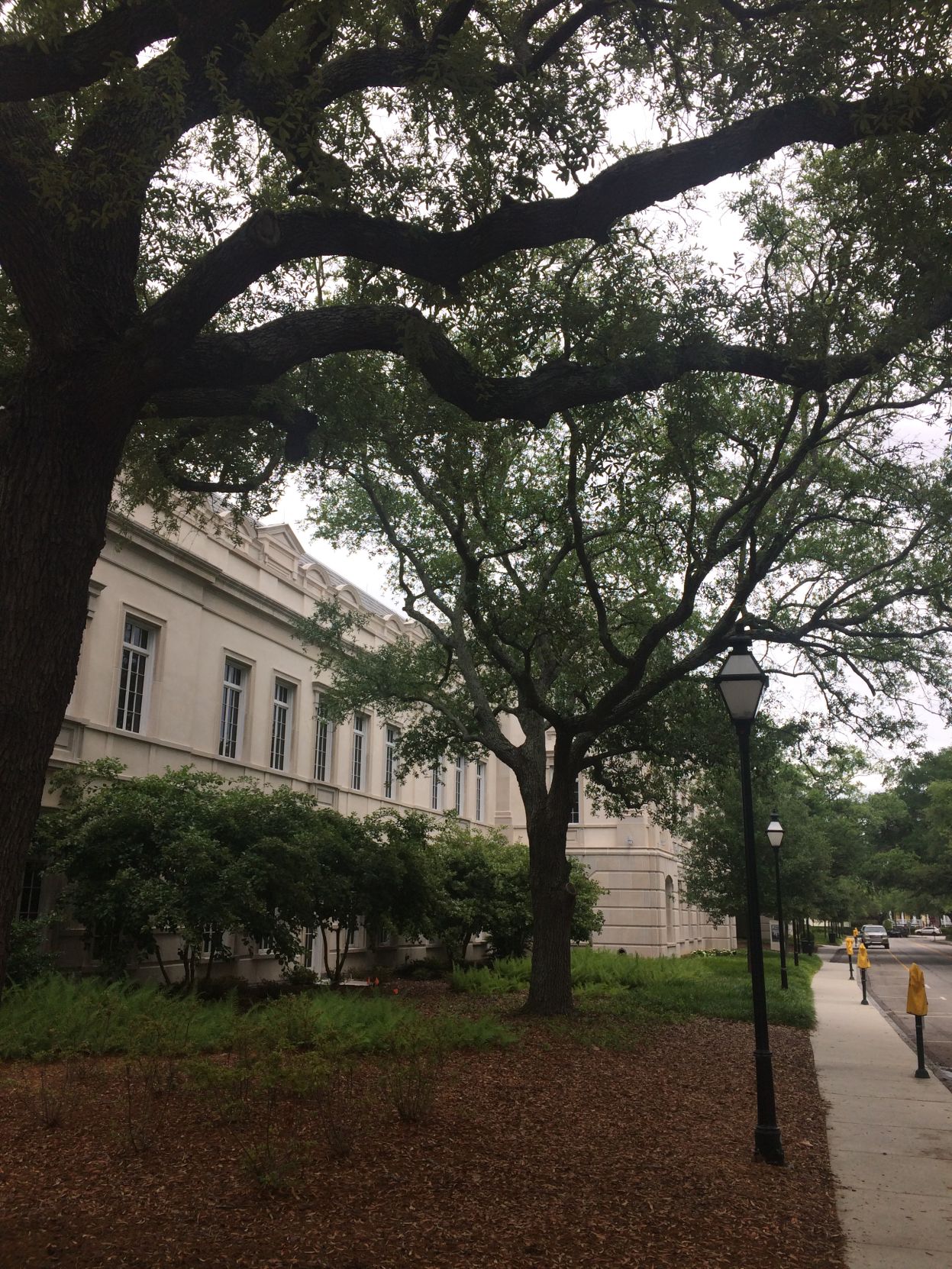 Gaillard Center